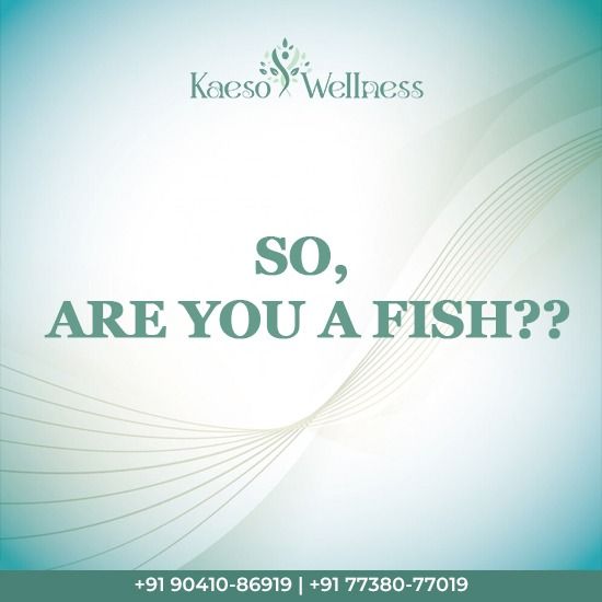 Picture of So, Are you a Fish??